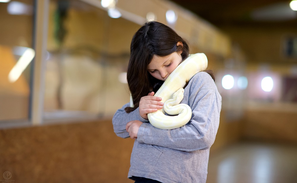 Python albinos et jeune fille