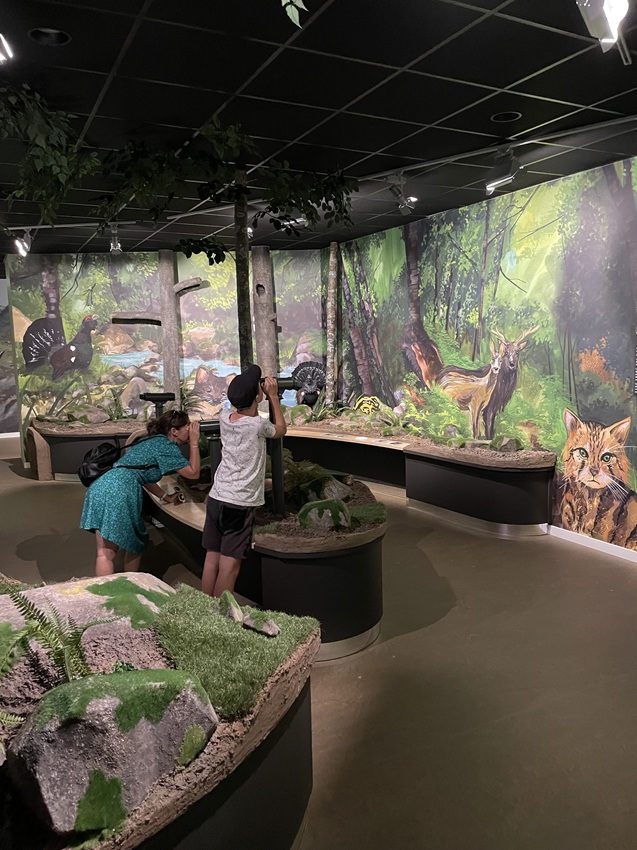 Mountaneô Espace muséographie